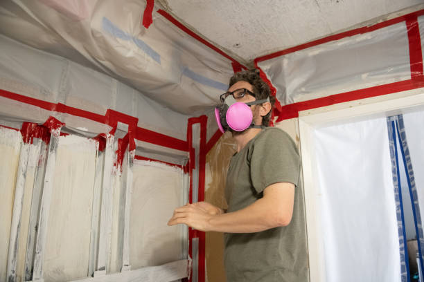 Best Attic Mold Removal  in USA